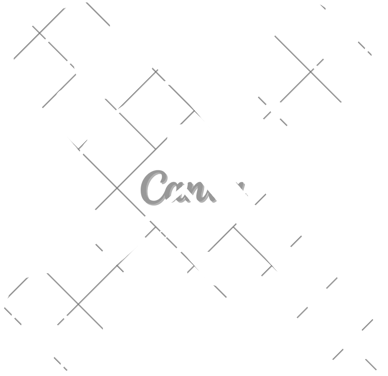 Plumbing Service Concept